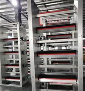 攜手創新，智贏未來 自動化蛋雞養殖設備技術咨詢與生產合作指南